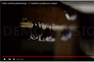 misjanaturayoutube11