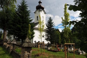 Jaworki-nasadzenia-2