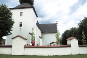 Ujanowice-nasadzenia-1