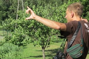 nasadzenia planowanie w terenie